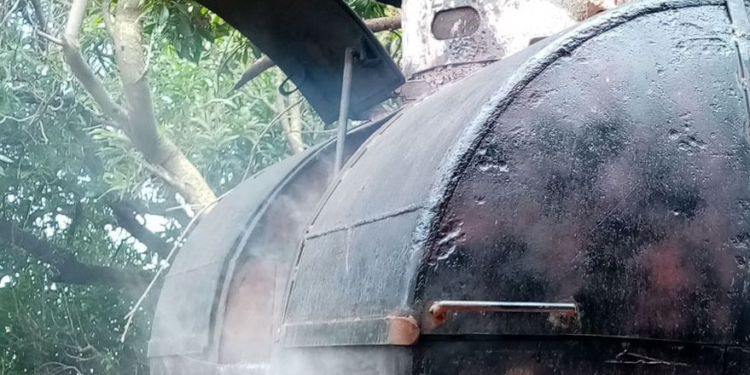 Tres sanjuaninos intentaron robarse un “chulengo”