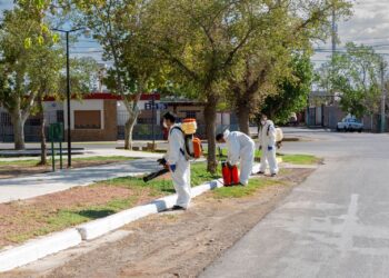 Rivadavia: Definieron el cronograma de los operativos contra el dengue