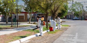 Rivadavia: Definieron el cronograma de los operativos contra el dengue