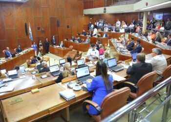 Tras la polémica, Diputados eligieron a los vocales del IPEEM