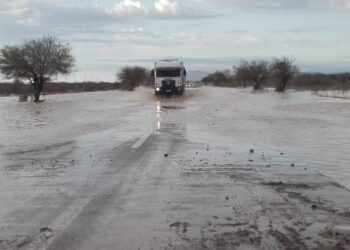 Los cultivos no habrían sufrido importantes daños tras las lluvias