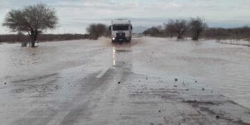 Los cultivos no habrían sufrido importantes daños tras las lluvias