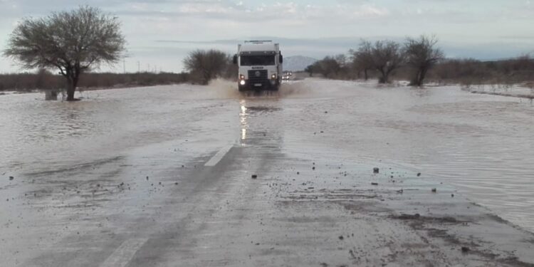 Los cultivos no habrían sufrido importantes daños tras las lluvias