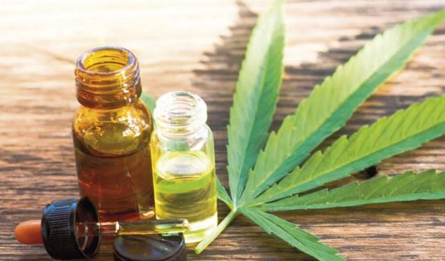 CanMe San Juan entregó el primer lote de aceite de cannabis para pacientes con epilepsia refractaria