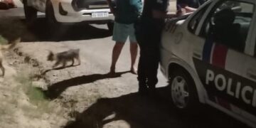 Rivadavia implementó nuevos operativos de seguridad junto a Provincia