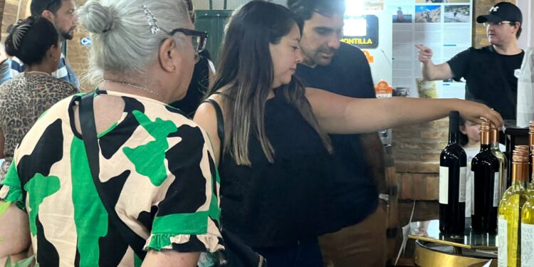 Decenas de turistas recorrieron las bodegas en Pocito