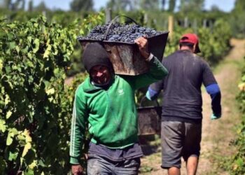 Trabajadores vitivinícolas sanjuaninos cobrarán un básico de $480.000