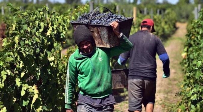 Trabajadores vitivinícolas sanjuaninos cobrarán un básico de $480.000