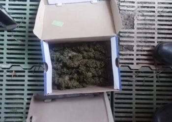 Un sanjuanino quedó detenido por trasladar más de 2kg de marihuana
