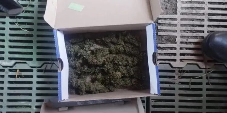 Un sanjuanino quedó detenido por trasladar más de 2kg de marihuana