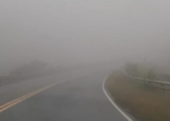 Vialidad Nacional advirtió por bancos de niebla y lluvias en rutas nacionales