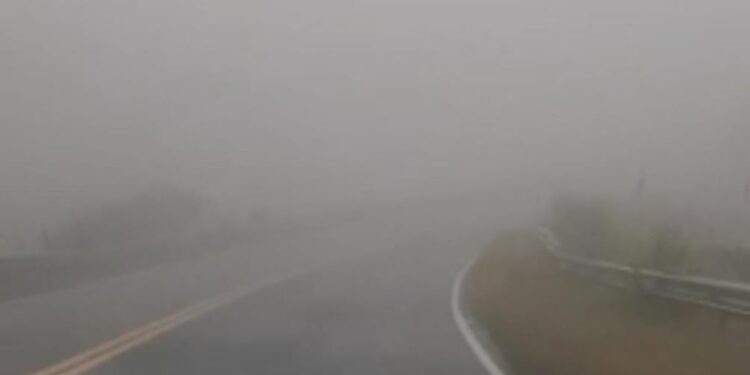 Vialidad Nacional advirtió por bancos de niebla y lluvias en rutas nacionales