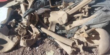 Descubren restos óseos en una planta recicladora en San Juan