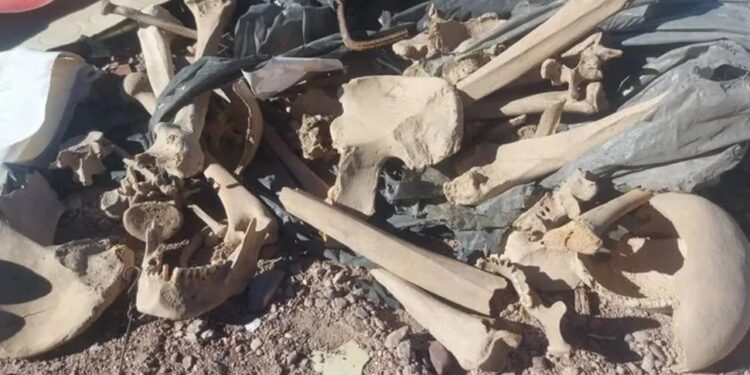 Descubren restos óseos en una planta recicladora en San Juan