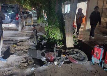Un motocilista se salvó de milagro tras impactar su moto contra un árbol