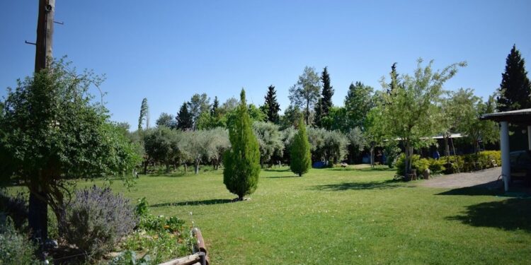 Raíces Patrias, Aromas y Sabores de Chimbas; una actividad para este 25 de Mayo