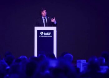 Milei, en el IAEF: “Voy a vetar proyectos del Congreso que nos rompan el equilibrio fiscal, me importa tres carajos”