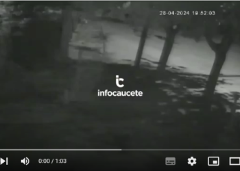 VIDEO: Menores salieron en banda a apedrear casas y romper vidrios