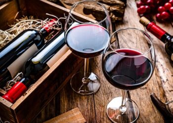 Creciente interés de los vinos sanjuaninos en Gran Bretaña