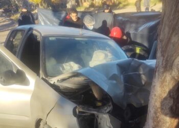 Tragedia en Pocito: Una joven de 29 años murió al chocar en su auto contra un árbol