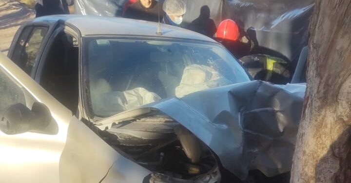 Tragedia en Pocito: Una joven de 29 años murió al chocar en su auto contra un árbol