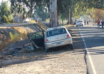 Tristeza enorme: Identifican a la joven que murió tras estrellar su auto contra un árbol