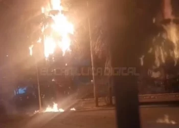 Alarma y preocupación en Caucete por el incendio de una palmera