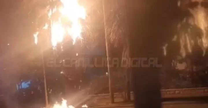 Alarma y preocupación en Caucete por el incendio de una palmera