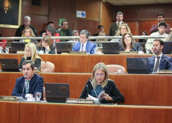 Aprobaron la ley que prohíbe el ingreso a casinos a deudores de cuotas alimentarias