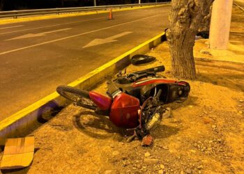 Motociclista murió tras chocar con un árbol: Un compañero vio todo el accidente