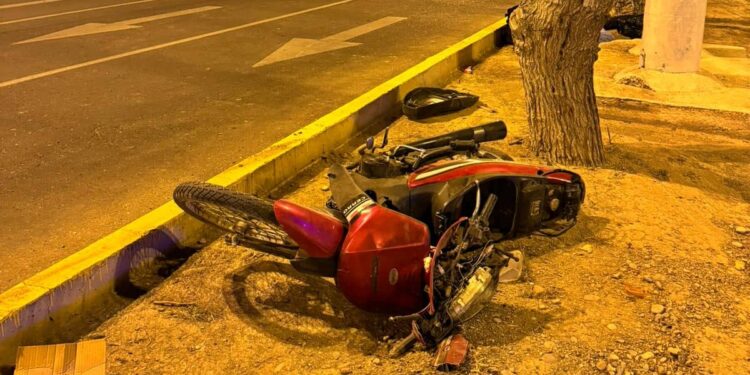 Motociclista murió tras chocar con un árbol: Un compañero vio todo el accidente