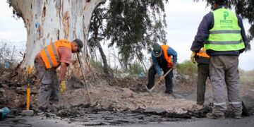 Pocito: Retiran raíces que dificultan el tránsito