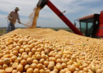 La venta de soja cayó 45% en junio