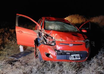 Vuelco en 25 de Mayo: chocaron con una cabra en la Ruta 20 y volcaron