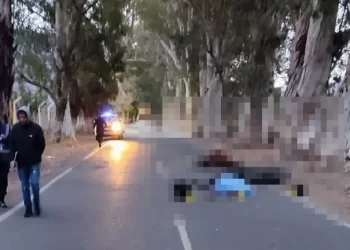 Identifican al sanjuanino que murió al chocar con un caballo: Tenía 58 años