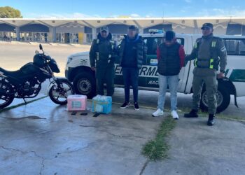 Dos personas quedaron detenidas tras retirar encomiendas con droga en la Terminal