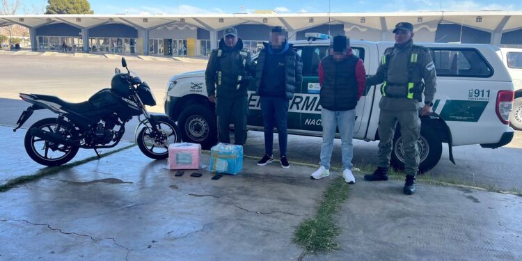 Dos personas quedaron detenidas tras retirar encomiendas con droga en la Terminal