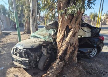 Identificaron al conductor que murió tras chocar con un árbol: Tenía 27 años