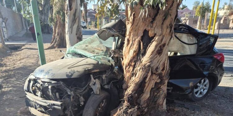 Identificaron al conductor que murió tras chocar con un árbol: Tenía 27 años