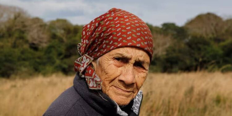 Caso Loan: la abuela Catalina borró 34 llamadas de su celular