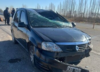 Tragedia en la Ruta 40: murió una persona tras embestir a un caballo