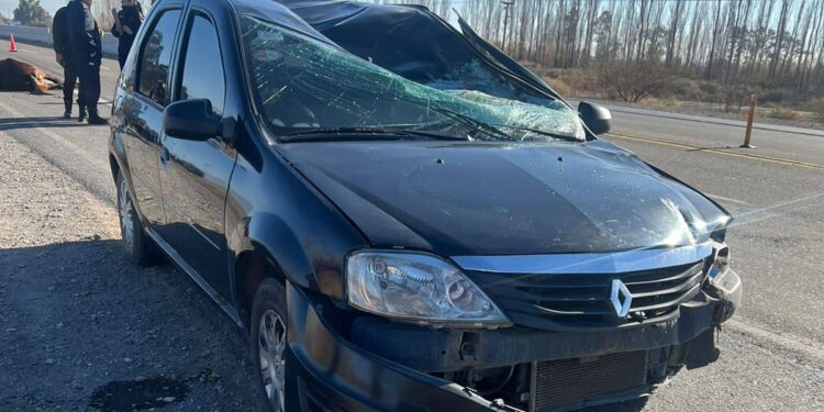 Tragedia en la Ruta 40: murió una persona tras embestir a un caballo