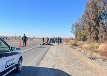 Tragedia en la Ruta 40: murió una persona tras embestir a un caballo