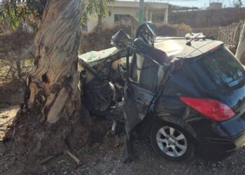 Tragedia en San Juan: Un joven de 27 años murió al estrellar su auto contra un árbol