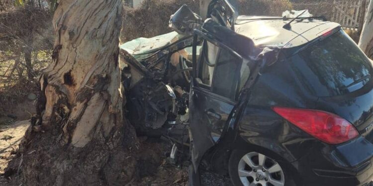 Tragedia en San Juan: Un joven de 27 años murió al estrellar su auto contra un árbol
