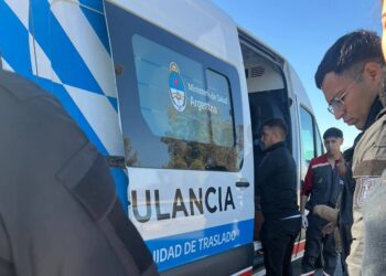 Tragedia en la Ruta 40: murió una persona tras embestir a un caballo