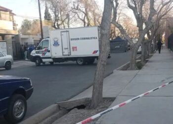 Un camión atropelló a una delivery sanjuanina y falleció en el acto