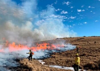 Incendio en Córdoba: más de 5.500 hectáreas fueron arrasadas por las llamas