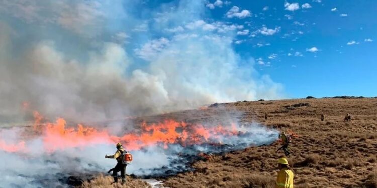 Incendio en Córdoba: más de 5.500 hectáreas fueron arrasadas por las llamas