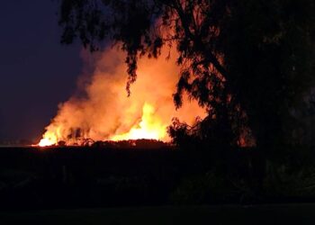 Video: Voraz incendio arrasó con una finca, generando caos y temor de los vecinos